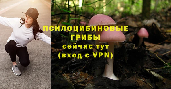 мет Верхний Тагил