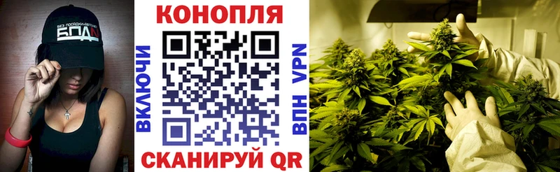 Канабис Amnesia  продажа наркотиков  Рузаевка 